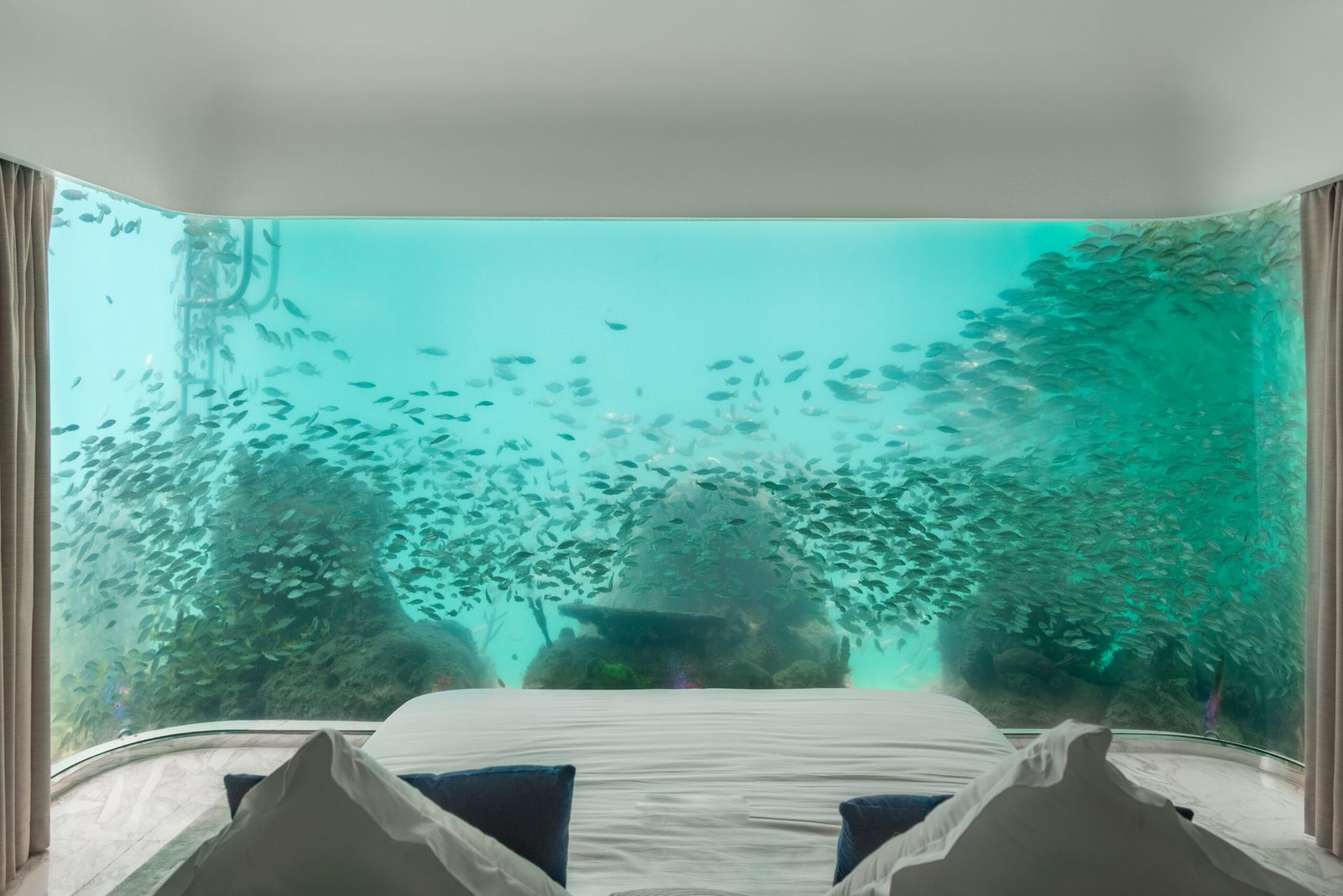 Floating Seahorse Aquarium in Bedroom High Resolution photo