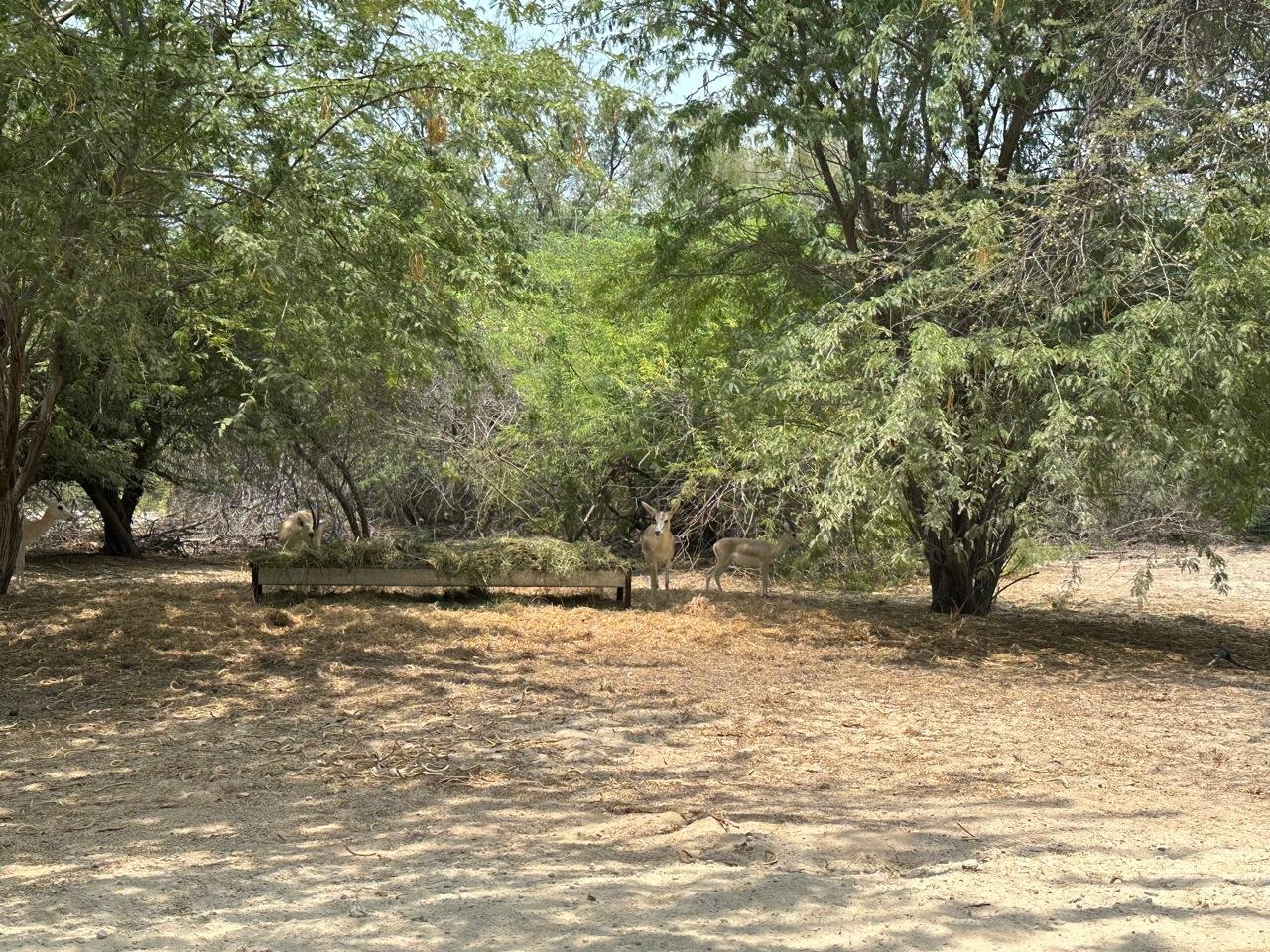 WhatsApp Image 2025-11-26 at 12.00