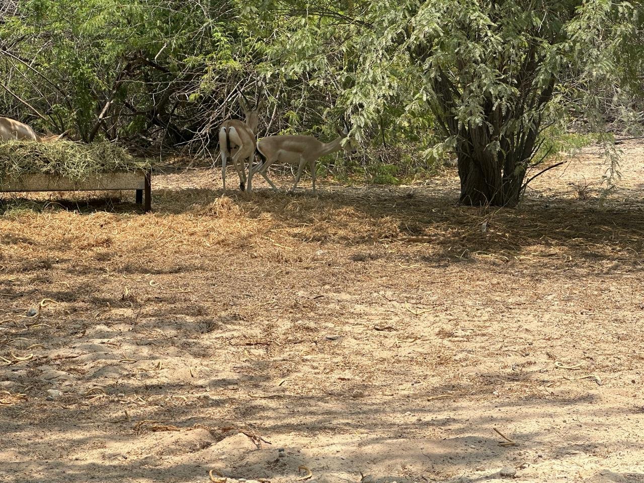 WhatsApp Image 2025-11-26 at 12.00