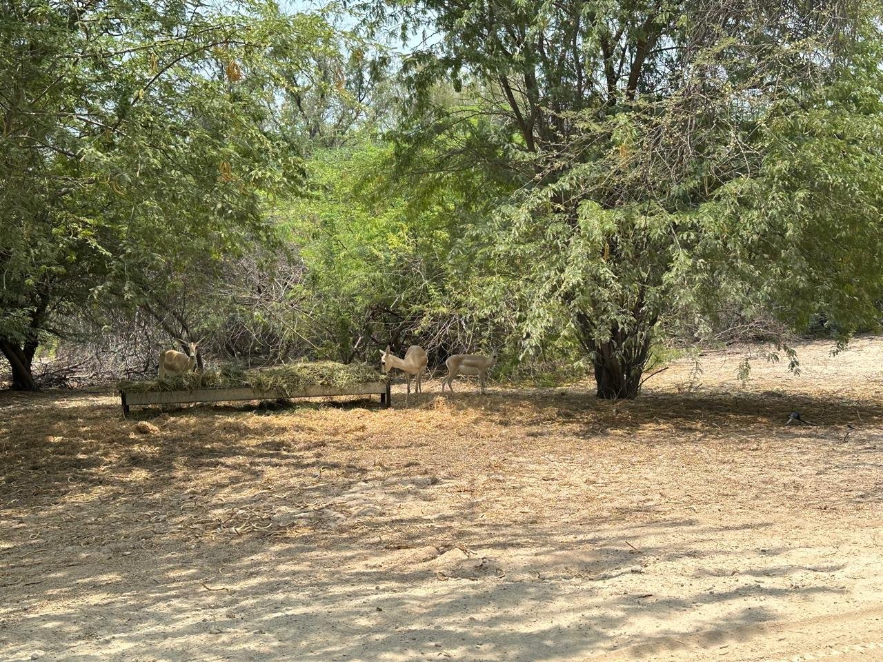 WhatsApp Image 2025-11-26 at 12.00