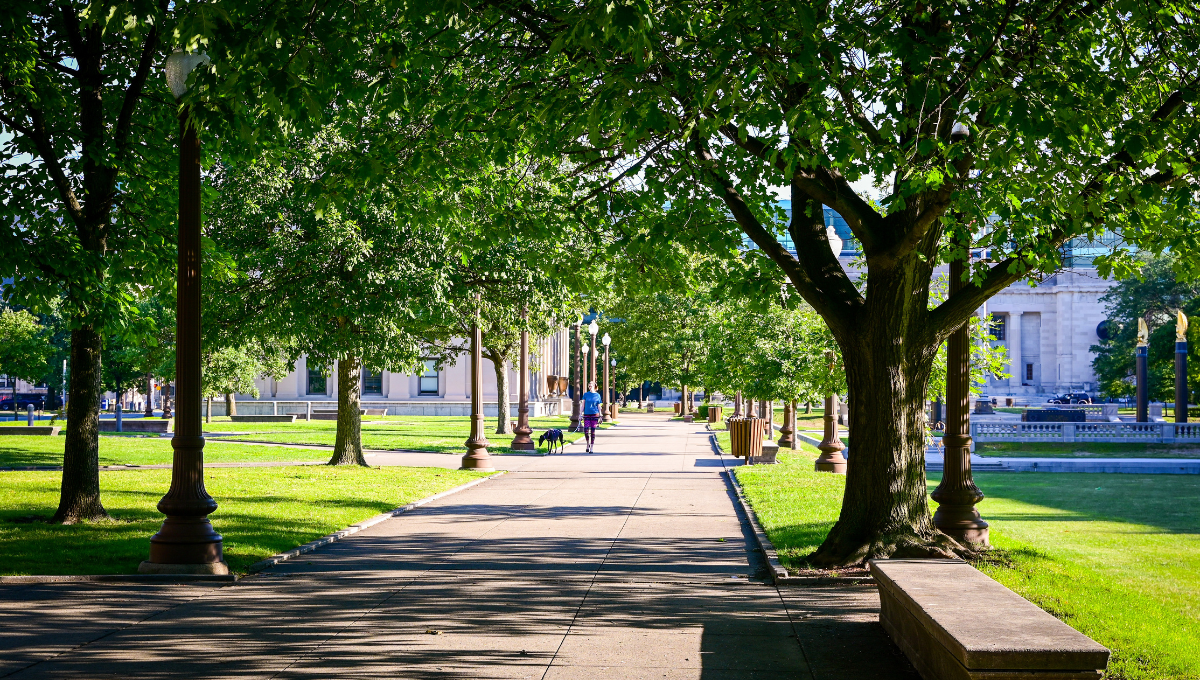 gardens and parks